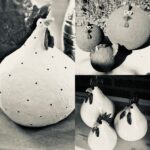 Poule de Pâques aux colombins lundi 02/03/2026 de 18h à 21h